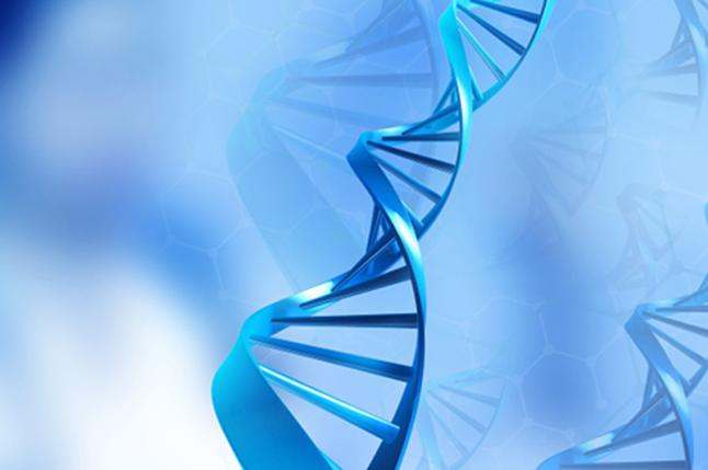 佳木斯DNA亲子鉴定的原理是什么？DNA亲子鉴定准确率多少 